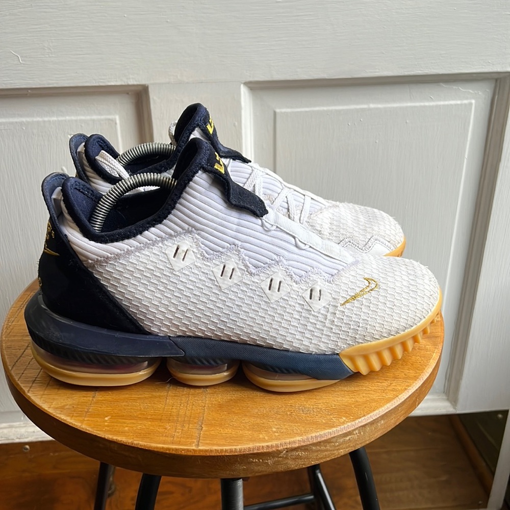 Nike LeBron 16